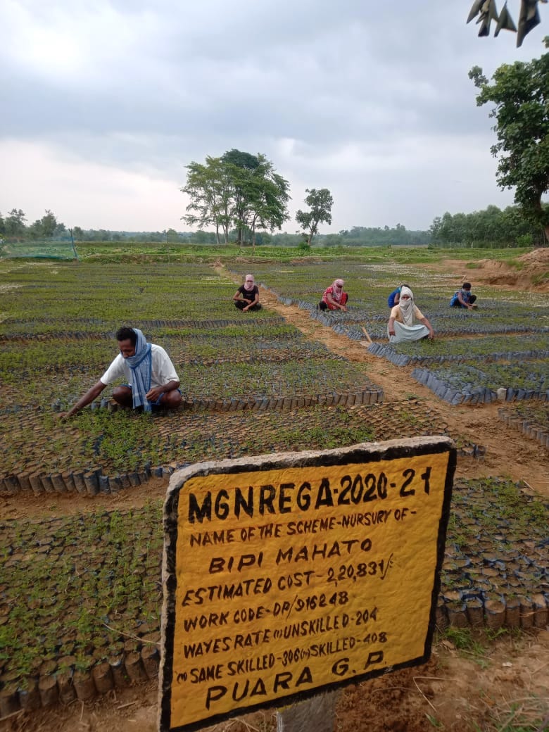 Mahatma Gandhi NREGS